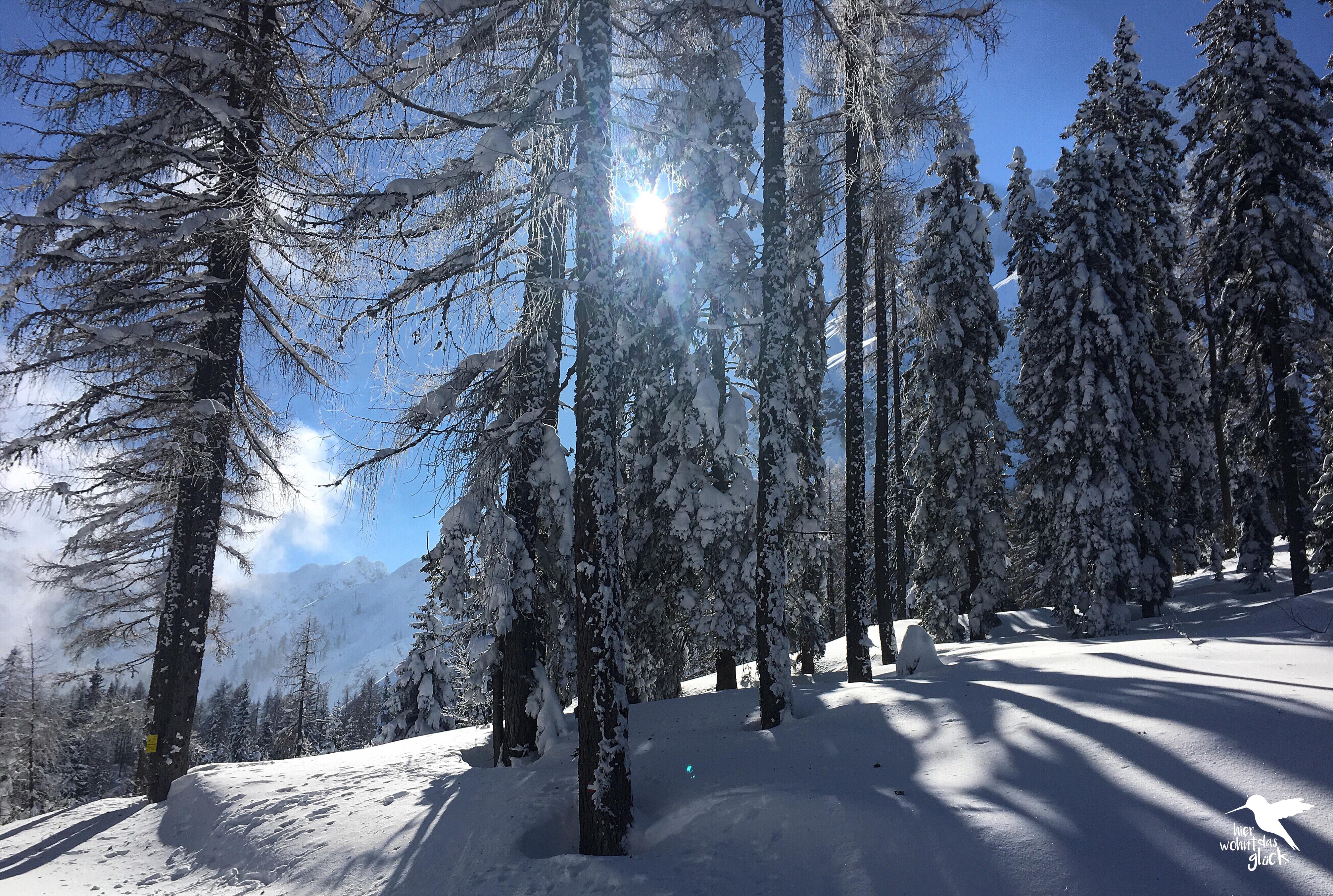 Schneeschuhwanderung zur Bertahütte in den Karawanken
