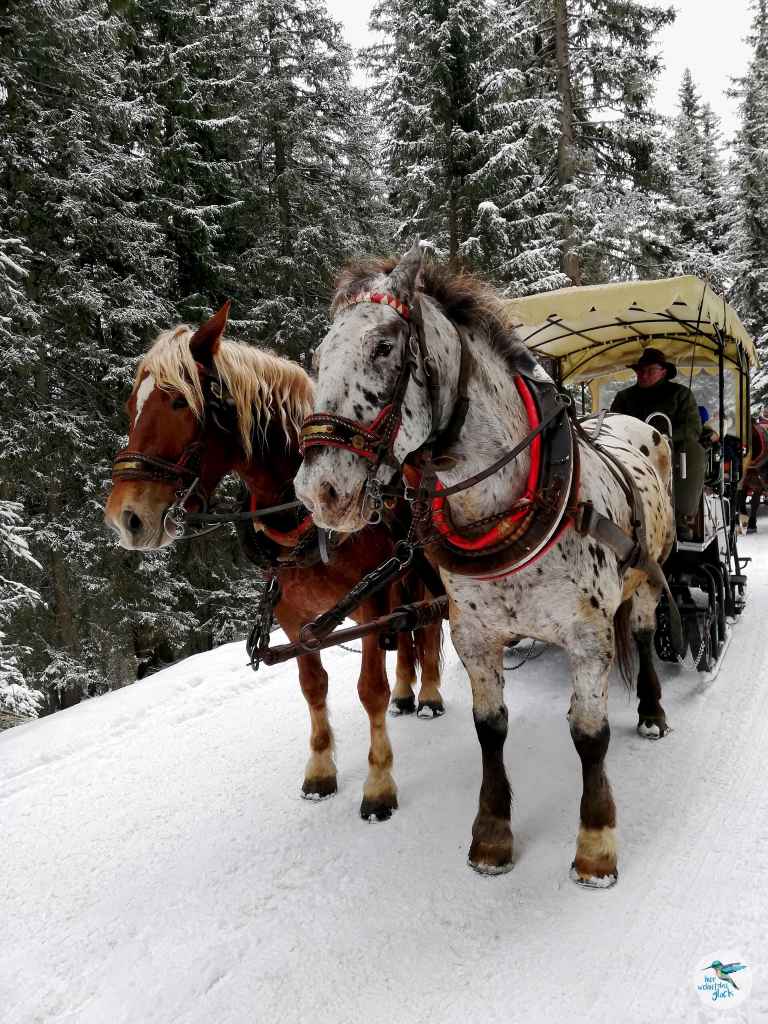 Pferdeschlittenfahrt zum Katschberger Adventweg