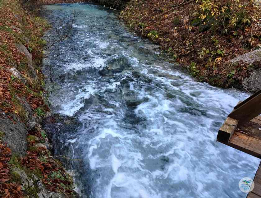 Frisches Quellwasser bei den Laghi di Fusine