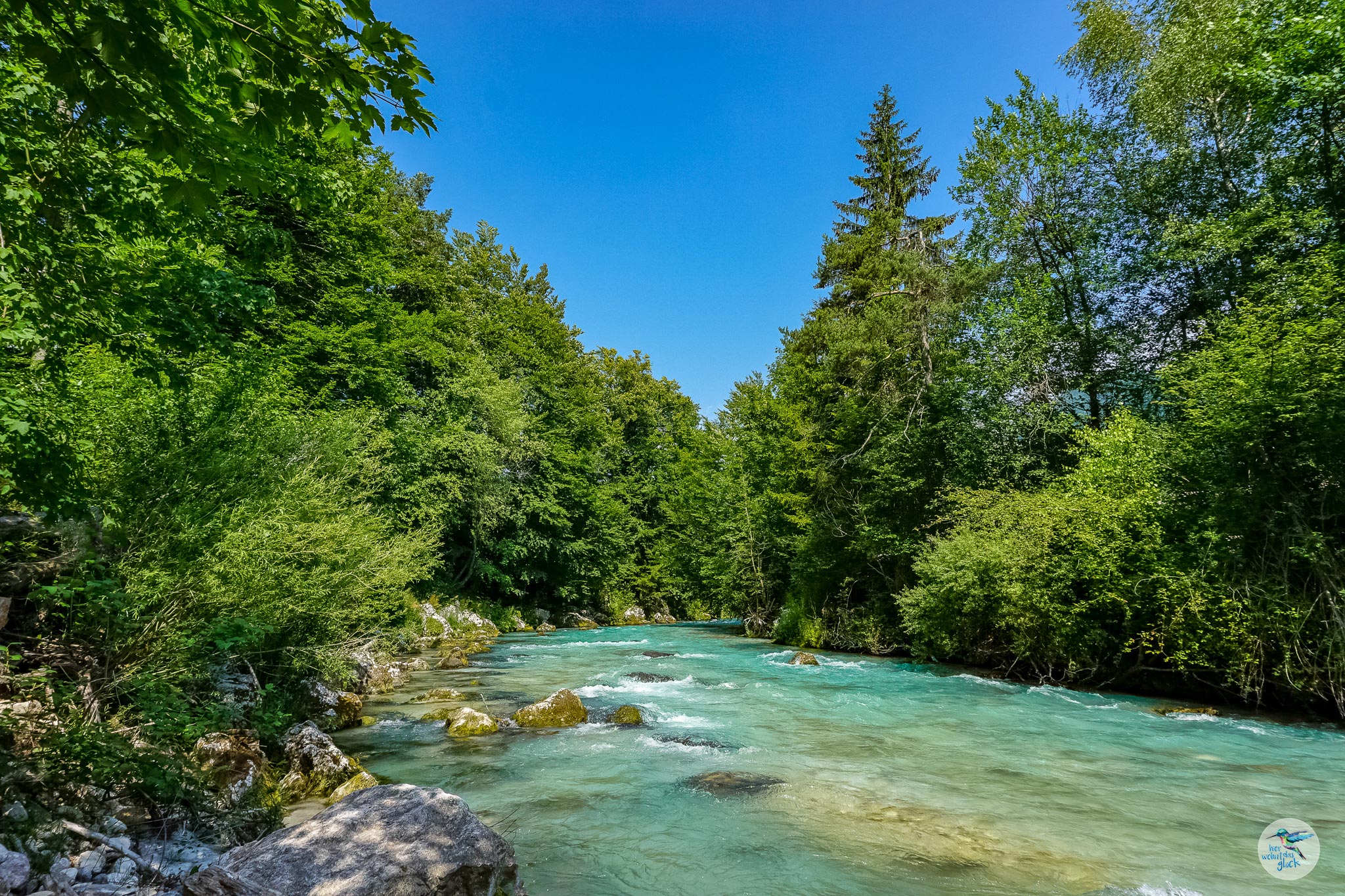 Der Radweg verläuft weite Strecken direkt entlang der Save