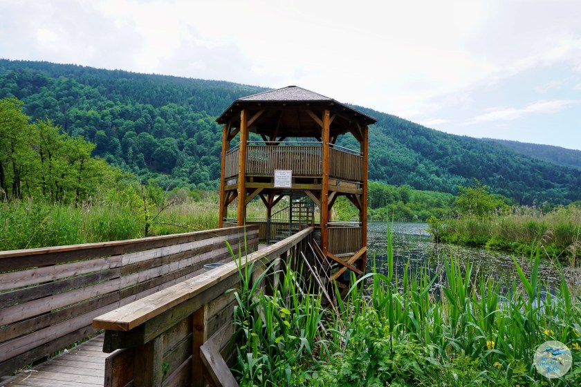 Slow Trail Ossiacher See_2