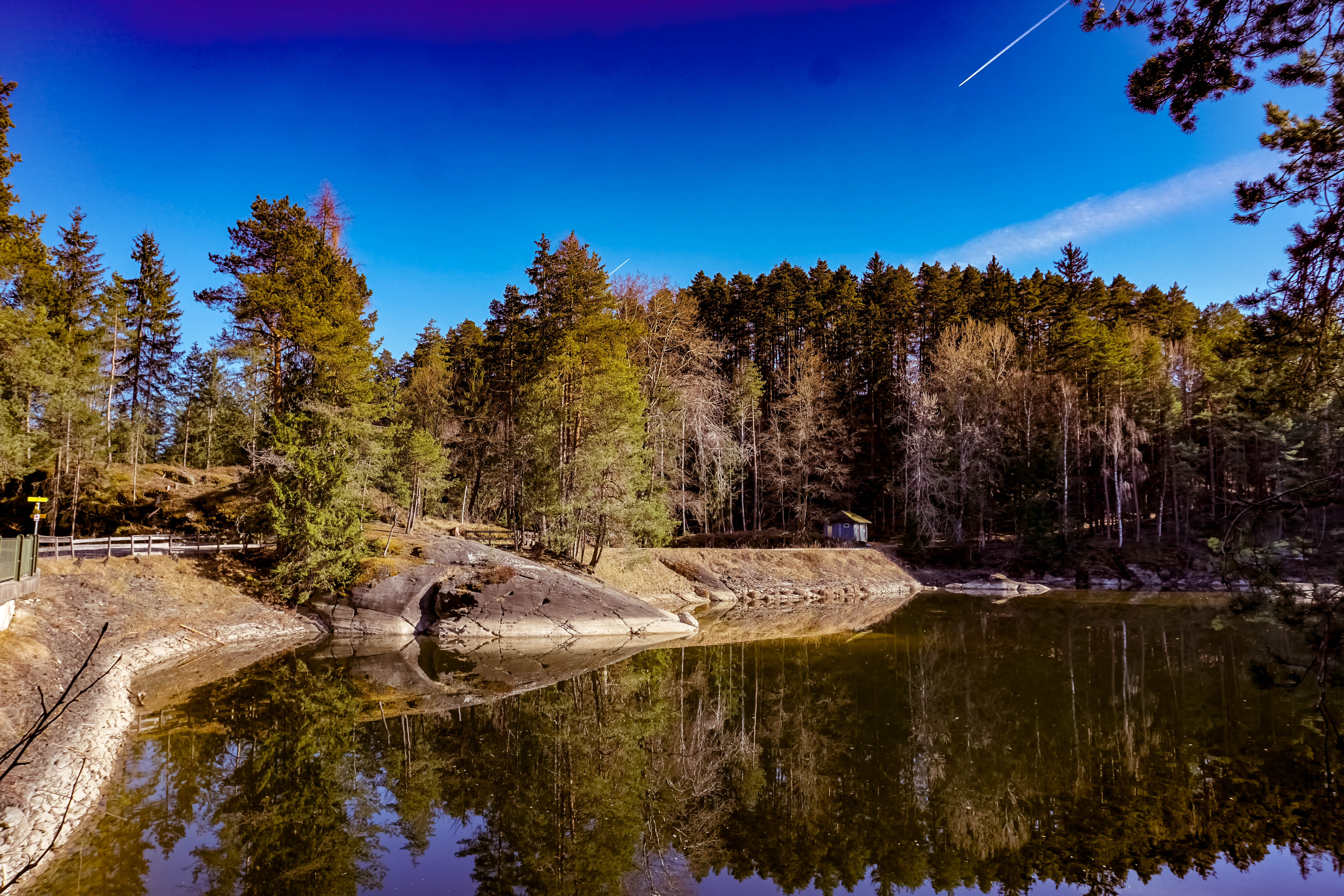Spaziergänge in den Frühling: die Forstsee Runde