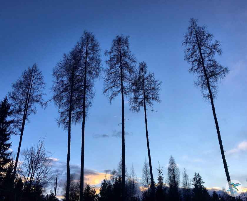 Abendstimmung am Rückweg