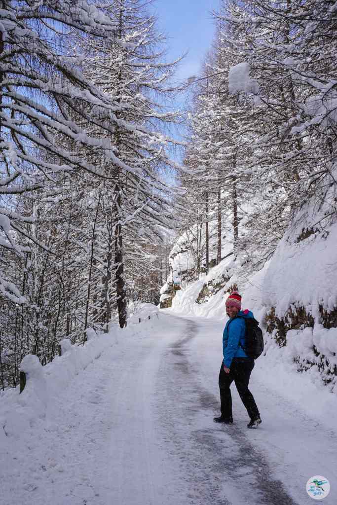 Wanderung zum Gasthaus Hohe Wand in Heiligenblut