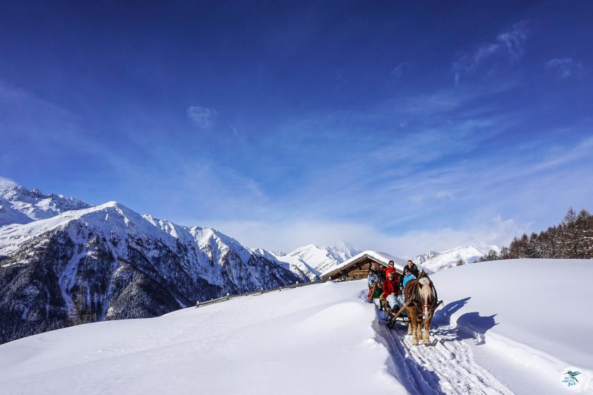 Pferdeschlittenfahrt in Apriach